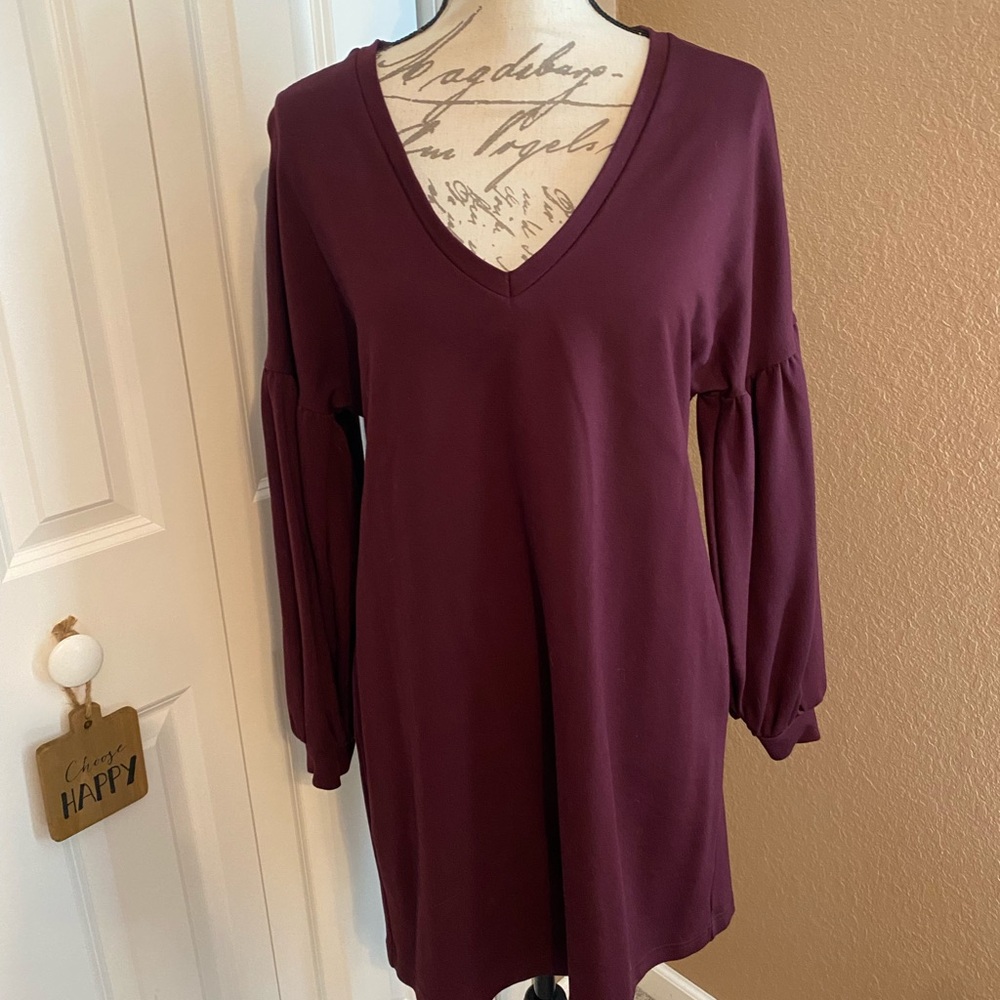 Express Maroon Long Sleeved Dress